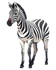 PNG Wildlife animal mammal zebra.