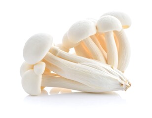 Close-up of white mushrooms
