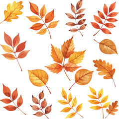 Naklejka premium Colorful autumn leaves collection watercolor style seasonal nature elements art