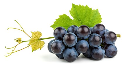 Closeup shot of a bunch of fresh ripe blue grapes with green leaves isolated on white background, showcasing their natural beauty and freshness