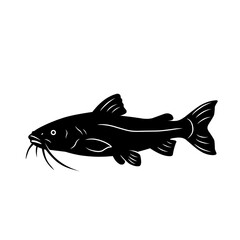 Vector silhouette of a catfish in black, isolated on white background. Ideal for fishing design, seafood illustration, restaurant logo, aquatic animal symbol, or nature artwork