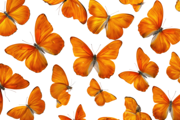 Many orange butterflies on black background