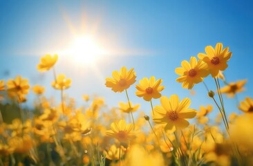 Bright yellow flowers blooming under a clear blue sky with shining sunlight creating a warm and cheerful atmosphere