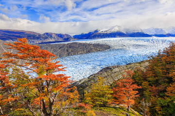 Torres Del Paine National Park, Chile. Grey glacier.