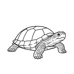 Naklejka premium Tortoise illustration in detailed line art style on white background 
