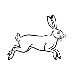 Obraz premium Running rabbit in motion illustration with detailed lines 