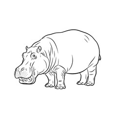Obraz premium Outline drawing of a hippopotamus standing on a white background 
