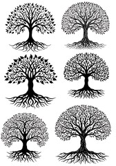 Obraz premium Root & Crown: A Silhouetted Grove