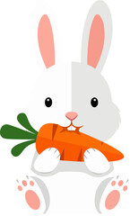 Rabbit Eating Carrot