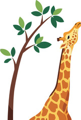 Giraffe Eating Leaves