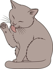 Cat Licking Paw