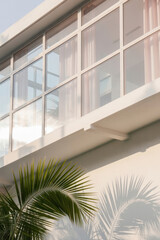 Contemporary White Minimalist Architecture Detail with Large Grid Windows, Palm Leaf Shadow, and Soft Golden Hour Light; Modern Tropical Design