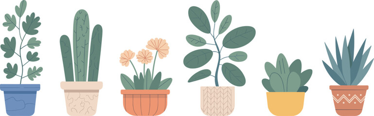 Flat illustration of indoor potted plants, minimalist houseplant decor, succulent, cactus, flower pots, greenery vector, modern home style ©  Creative vectors