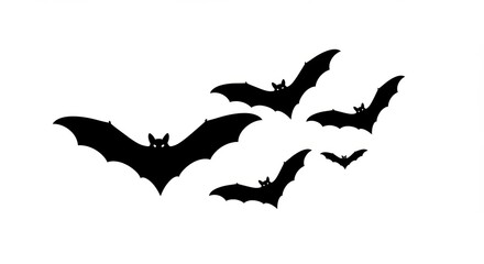 Bats silhouette on white background