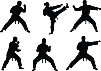 Silhouette martial arts poses, karate kick, taekwondo punch, defensive stance, martial training,