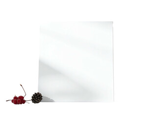 A white rectangular object with a soft light and botanical elements in front