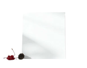 A white rectangular object with a soft light and botanical elements in front