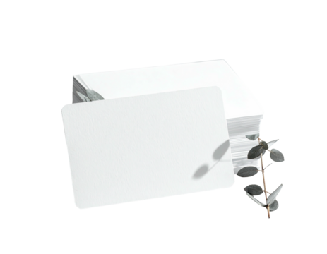 Plain white business card in front of a stack, accented by a small leafy branch