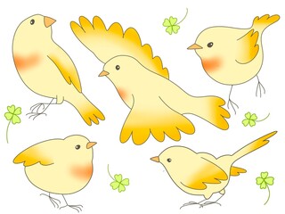 birds set 7