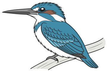 blue kingfisher bird