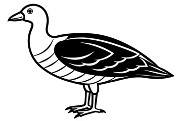 nicobar megapode bird