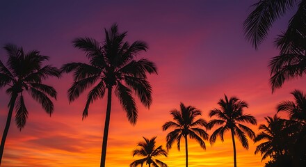 Obraz premium Silhouetted palm trees against vivid sunset sky in tropical paradise