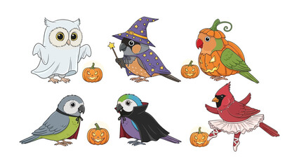 Fototapeta premium Halloween avian ensemble: Six charming avian friends, artfully adorned in festive costumes and posed with miniature pumpkins, offer a playful and whimsical celebration of Halloween.
