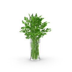 Fresh cilantro leaves in transparent glass with water, isolated PNG