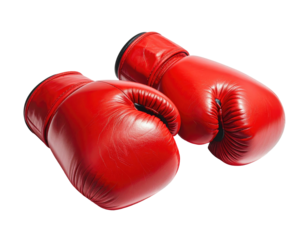 Two red boxing gloves are presented, one slightly overlapping the other
