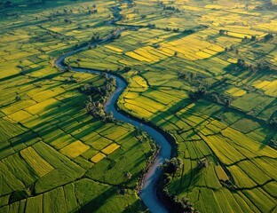 Obraz premium Aerial view of a winding river flowing through a patchwork of vibrant green and golden rice paddies