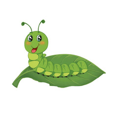 caterpillar on a leaf