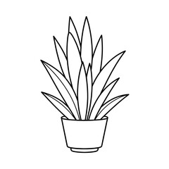A snake plant illustration vector style coloring book