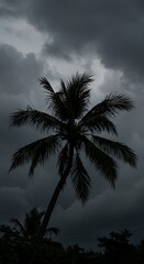 Palm's Shadow, Storm's Breath