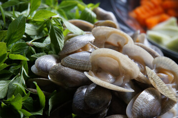Fresh clams and basil leaves arranged for cooking, showcasing delicious culinary ingredients