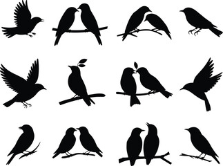 Bird silhouette set, flying and perched poses, black vector icons, wildlife motion study, cad drawing flat vector illustration, nature graphic