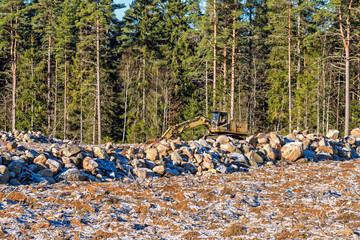 Excavator on a construction site with boulders at the forest edge