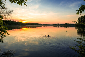 View of Lake Elbsee and the surrounding landscape. Idyllic nature by the lake at sunset near Düsseldorf.
