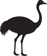  Minimal Ostrich Shape Vector Illustration