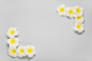 Obraz premium Frame made of beautiful plumeria flowers on grey background