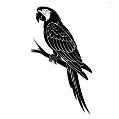 Black silhouette of a macaw parrot perched on a branch
