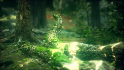 Sunlight filters through trees, casting dappled light on mossy logs scattered across the forest floor. The peaceful setting showcases natures beauty and serenity.