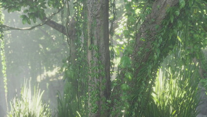Morning light gently illuminates a tranquil forest filled with vibrant green foliage. The air is...
