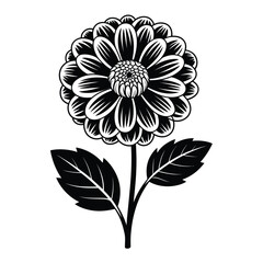 Black and white illustration of a dahlia flower with leaves