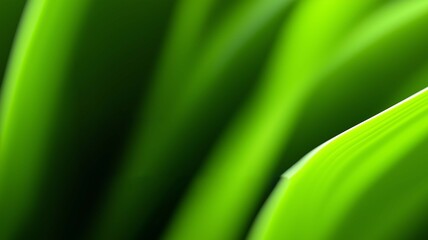 Dynamic emerald and lime green fluid swirl background with glowing highlights, smooth flowing edges, and organic curved shapes forming an elegant frame perfect for eco or technology themes