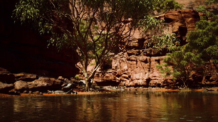 A tranquil oasis emerges among towering red cliffs, with still water reflecting lush greenery. Sunlight filters through trees, creating a peaceful atmosphere in natures embrace.