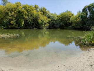 lake in the forest