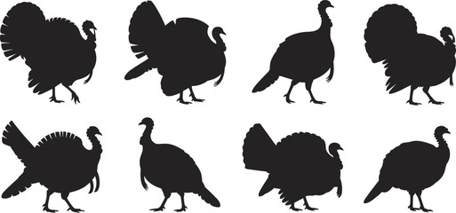 Turkey bird silhouettes in different poses, wild animal outline, Thanksgiving symbol design, poultry vector illustration, farm bird artwork, holiday decoration
