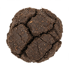 Waterlogged Soil Clod Isolated on White: High Detail, Photorealistic 8K Image.