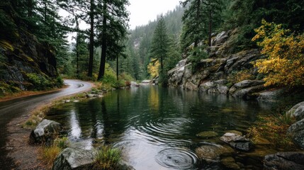 Tranquil forest river with raindrops on surface, surrounded by lush green trees and a winding dirt road on an overcast day