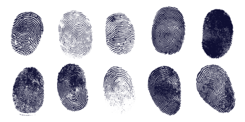 Collection of fingerprint marks, biometric identification concept, isolated on transparent cutout background